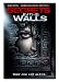 Secrets in the Walls [DVD] [Import]