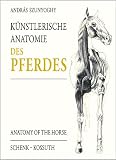 Künstlerische Anatomie des Pferdes