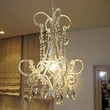 �V�����f���A�@�e�B�A��W