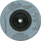 STORM/ROCK AND ROLL DREAMS COME THROUGH VINYL 7" JIM STEINMAN EPIC[SXPS117