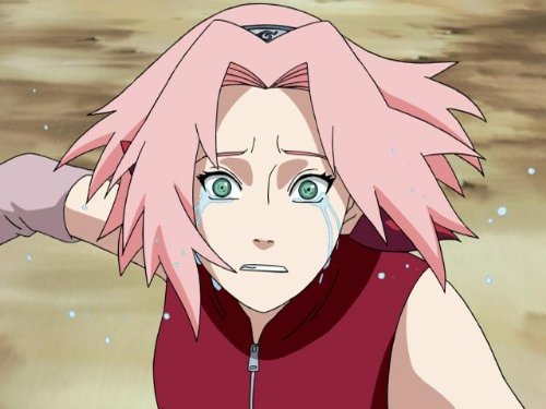 Sakura's Tears