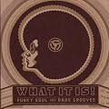 What It Is!  Funky Soul And Rare Grooves (1967-1977)