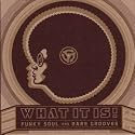 What It Is!  Funky Soul And Rare Grooves (1967-1977)