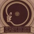 What It Is! Funky Soul and Rare Grooves (Coffret 4 CD)