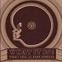 What It Is!  Funky Soul And Rare Grooves (1967-1977)