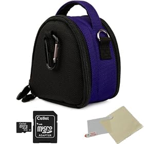 BLUE GRAY Mini Slim Compact Protective Travel Digital Camera Carrying Case with Accessory Compartment For Panasonic Lumix DMC-3D1 / DMC-FH2 / DMC-FH25 / DMC-FH27 / DMC-FH5 / DMC-FH6 / DMC-FH7 / DMC-FH8 / DMC-FP5 / DMC-FP7 / DMC-FX78 / DMC-FX90 Point And Shoot Digital Camera + Includes a 8GB Micro SD