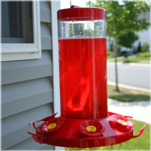 PerkyPet 220 The Grand Master 48Ounce Hummingbird Feeder , New, Free