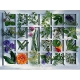 Produkt-Bild: Ravensburger 16372 - K&uuml;chenkr&auml;uter - 1500 Teile Puzzle