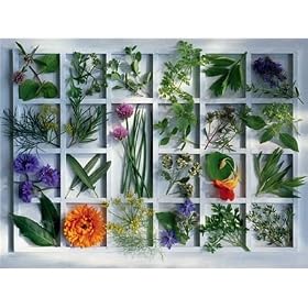 Kitchen Herbs 1500 pc