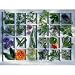 Ravensburger 16372 - K�chenkr�uter - 1500 Teile Puzzle