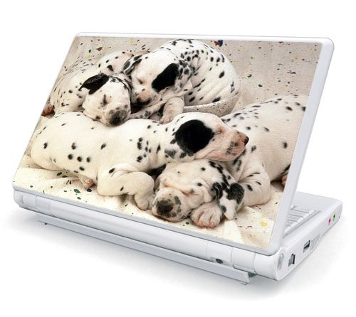 Dalmatian Puppies Design Skin Cover Decal Sticker for Toshiba Mini NB205 10.1 inch Netbook Laptop Computer