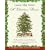 A Christmas Dream CD