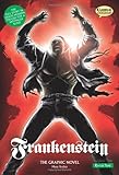 Frankenstein : the graphic novel : quick text
