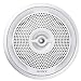 Sony XSMP1620W Marine Speaker, 6.5-Inch Woofer, and 2-Inch Tweeter