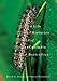 Life Histories of Cascadia Butterflies