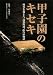甲子園のキセキ (日刊スポーツ・ノンフィクション)