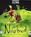 Video Games : The Neverhood