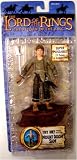LOTR RETURN OF THE KING WAVE 5 MOUNT DOOM SAM