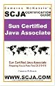 SCJA Sun Certified Java Associate Study Guide for Test CX-310-019, 2nd Edition - Incredible Update to the former ExamScam Book