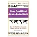SCJA Sun Certified Java Associate Study Guide for Test CX-310-019, 2nd Edition - Incredible Update to the former ExamScam Book