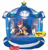 Snow Globes