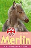 Merlin