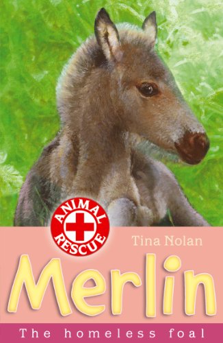 Merlin the homeless foal (Animal Rescue)