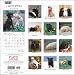 Labrador Retriever Puppies 2009 PLATO Square Wall Calendar