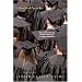 Unfinished Agendas: New and Continuing Gender Challenges in Higher Education