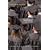 Unfinished Agendas: New and Continuing Gender Challenges in Higher Education