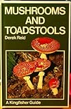 Mushrooms and toadstools