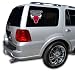 Chicago Bulls Cutz Window Film