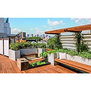 Über den Dächern- Die schönsten Gärten und Terrassen