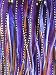 Sexy Sparkles 4" to 7" in Length 5 Dark Purple with Natural Brown Mix Feathers for Hair Extension! 5 Feathers