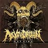 Rat king