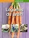 Légumes du jardin