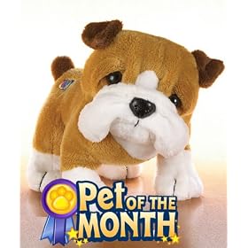 Webkinz Pet of the Month - Bull Dog (Jan.)