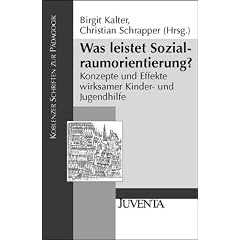 Was leistet Sozialraumorientierung?: Konzepte und Effekte wirksamer Kinder- und Jugendhilfe (Koblenzer Schriften zur P�dagogik)