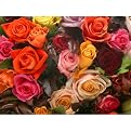 Ravensburger 1,000-pc. Puzzle - A Rosy Bunch
