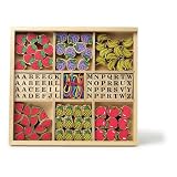 Threading Fruit ABC Approx. 130 pieces