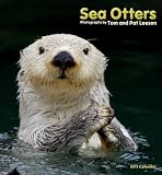 Sea Otters