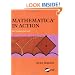 Mathematica in Action
