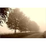 Poster 30 x 20 cm - "Paths in the Shadow" von Tanja Riedel - auch in anderen Gr��en und als Leinwandbild erh�ltlichvon "POSTERLOUNGE"