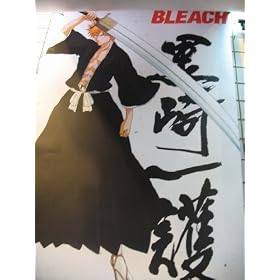 Bleach: Ichigo and Zangetsu 60x90cm Wallscroll