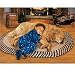 Ravensburger 300 Piece Large Formet Edition - Boy's Best Friend
