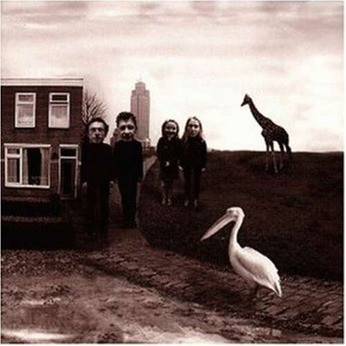 Nits, The - Alankomaat - Zortam Music