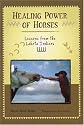 The Healing Power of Horses: Lessons from the Lakota Indians