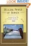 Healing Power of Horses: Lessons from the Lakota Indians