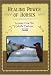 Book Healing Power of Horses: Lessons From the Lakota Indians