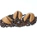 Gourmet Food : 100 Personalized Fortune Cookies - Cappuccino